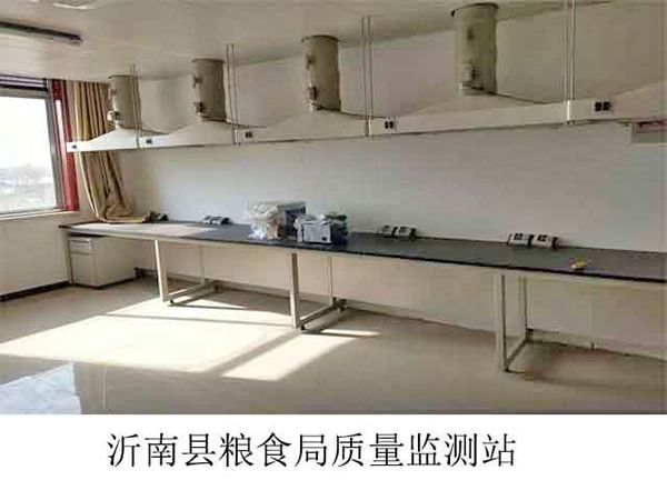 沂南縣糧食質量監測站實驗臺、通風柜、通風系統等實驗室家具安裝現場