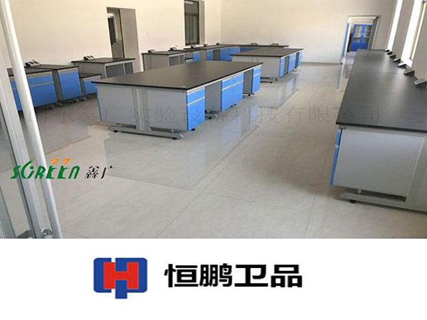 山東恒鵬衛生用品有限公司實驗室家具安裝現場