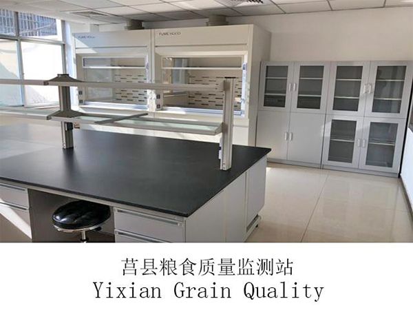 莒縣糧食質量監測站實驗臺、通風柜、邊臺等實驗室家具定做安裝現場
