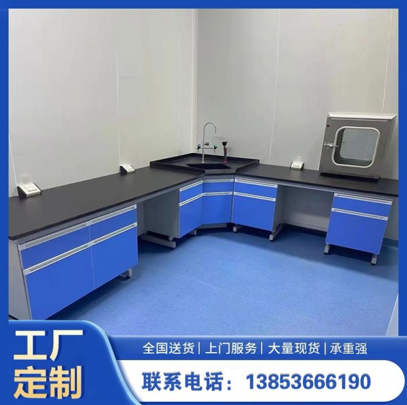 山東實驗室家具 鋼木試驗臺通風(fēng)櫥柜定制