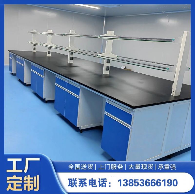 山東實驗臺廠家鋼木邊臺實驗室通風(fēng)櫥柜供應(yīng)